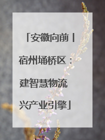 安徽向前丨宿州埇桥区：建智慧物流 兴产业引擎