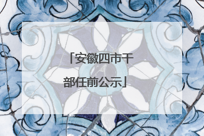安徽四市干部任前公示