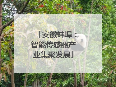 安徽蚌埠：智能传感器产业集聚发展