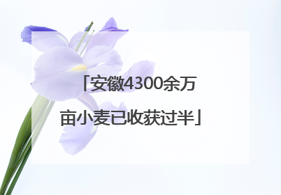 安徽4300余万亩小麦已收获过半