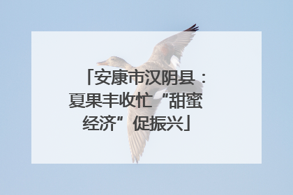 安康市汉阴县：夏果丰收忙“甜蜜经济”促振兴