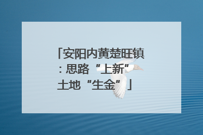 安阳内黄楚旺镇：思路“上新” 土地“生金”