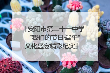 安阳市第二十一中学“我们的节日·端午”文化盛宴精彩纪实