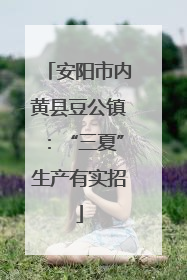 安阳市内黄县豆公镇：“三夏”生产有实招