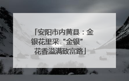 安阳市内黄县：金银花里采“金银” 花香溢满致富路