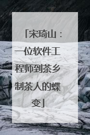 宋琦山：一位软件工程师到茶乡制茶人的蝶变