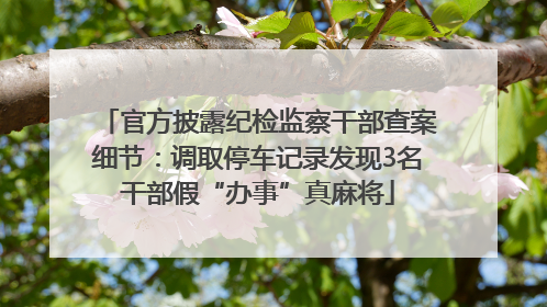 官方披露纪检监察干部查案细节：调取停车记录发现3名干部假“办事”真麻将