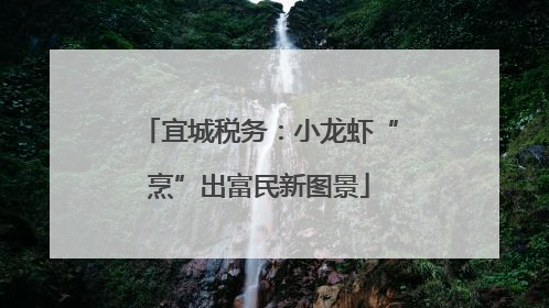 宜城税务：小龙虾“烹”出富民新图景