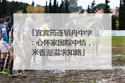 宜宾筠连镇舟中学：心怀家国粽中情，米香漫溢求知路