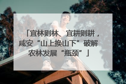 宜林则林、宜耕则耕，咸安“山上换山下”破解农林发展“瓶颈”