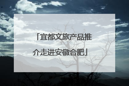 宜都文旅产品推介走进安徽合肥