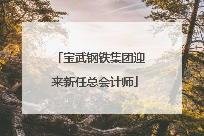 宝武钢铁集团迎来新任总会计师