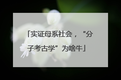 实证母系社会，“分子考古学”为啥牛