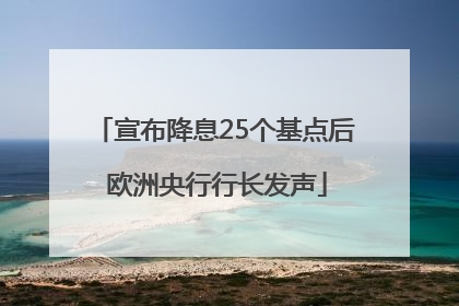宣布降息25个基点后 欧洲央行行长发声