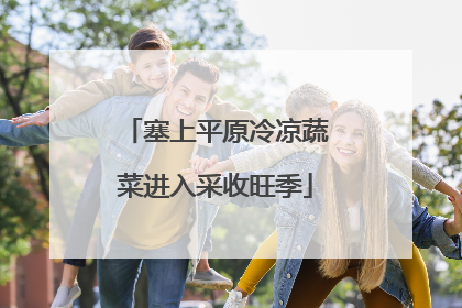塞上平原冷凉蔬菜进入采收旺季