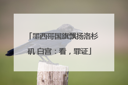墨西哥国旗飘扬洛杉矶 白宫：看，罪证