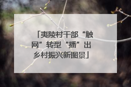 夷陵村干部“触网”转型“播”出乡村振兴新图景