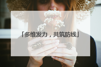 多维发力，共筑防线