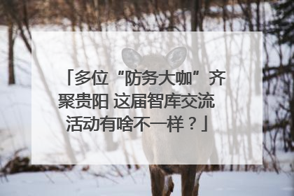 多位“防务大咖”齐聚贵阳 这届智库交流活动有啥不一样？