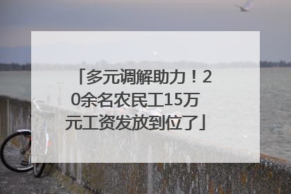多元调解助力！20余名农民工15万元工资发放到位了
