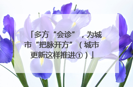 多方“会诊”，为城市“把脉开方”（城市更新这样推进①）