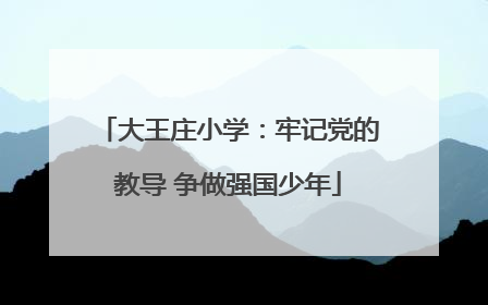 大王庄小学：牢记党的教导 争做强国少年