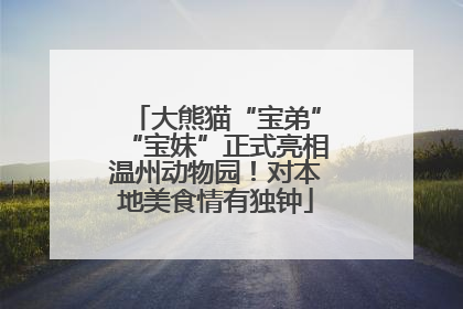 大熊猫“宝弟”“宝妹”正式亮相温州动物园！对本地美食情有独钟