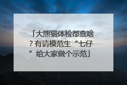 大熊猫体检都查啥？有请模范生“七仔”给大家做个示范