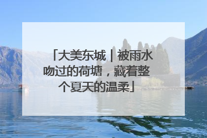 大美东城｜被雨水吻过的荷塘，藏着整个夏天的温柔