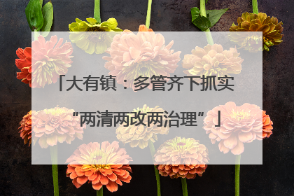 大有镇：多管齐下抓实“两清两改两治理”