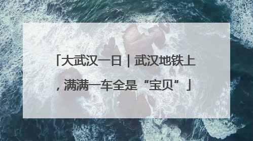 大武汉一日｜武汉地铁上，满满一车全是“宝贝”