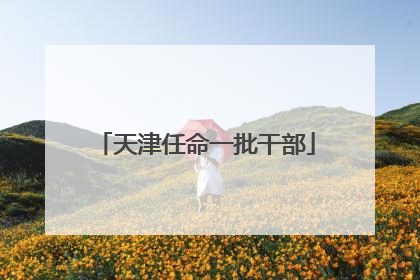 天津任命一批干部