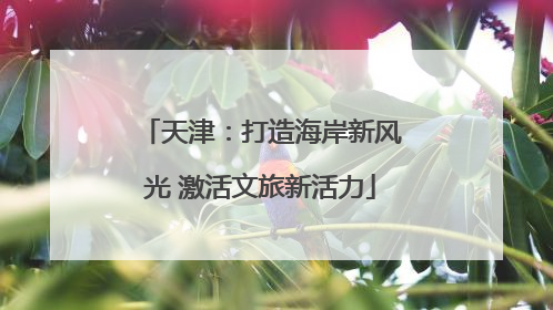 天津：打造海岸新风光 激活文旅新活力