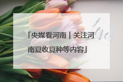 央媒看河南｜关注河南夏收夏种等内容