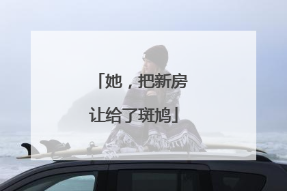 她，把新房让给了斑鸠