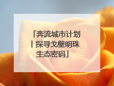 奔流城市计划丨探寻戈壁明珠生态密码