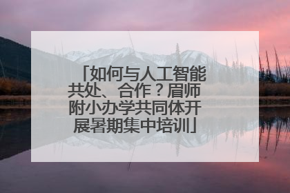 如何与人工智能共处、合作？眉师附小办学共同体开展暑期集中培训