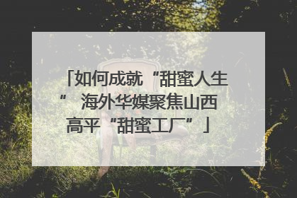 如何成就“甜蜜人生” 海外华媒聚焦山西高平“甜蜜工厂”