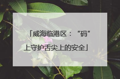 威海临港区：“码”上守护舌尖上的安全