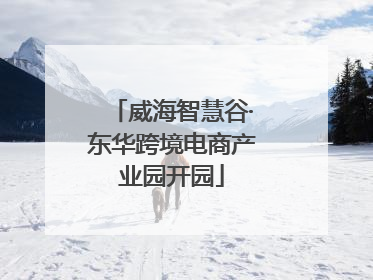 威海智慧谷·东华跨境电商产业园开园