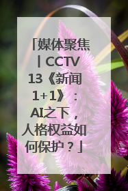 媒体聚焦丨CCTV13《新闻1+1》：AI之下，人格权益如何保护？