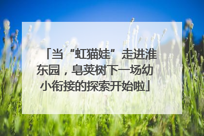 当“虹猫娃”走进淮东园，皂荚树下一场幼小衔接的探索开始啦