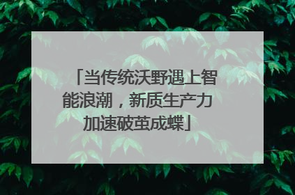 当传统沃野遇上智能浪潮，新质生产力加速破茧成蝶