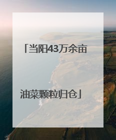 当阳43万余亩油菜颗粒归仓