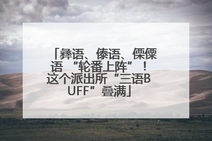 彝语、傣语、傈僳语 “轮番上阵”！这个派出所“三语BUFF”叠满
