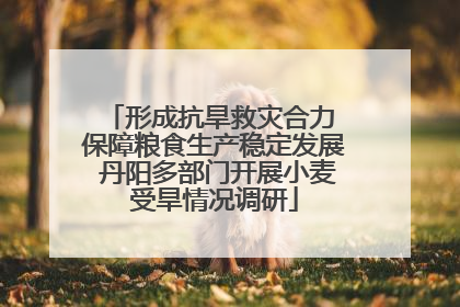 形成抗旱救灾合力 保障粮食生产稳定发展 丹阳多部门开展小麦受旱情况调研
