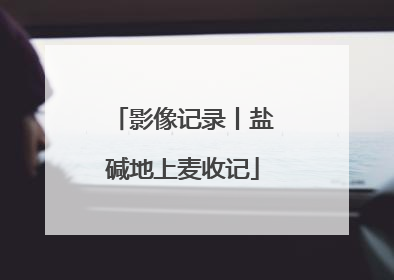 影像记录丨盐碱地上麦收记