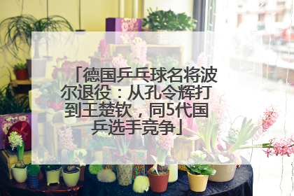 德国乒乓球名将波尔退役：从孔令辉打到王楚钦，同5代国乒选手竞争