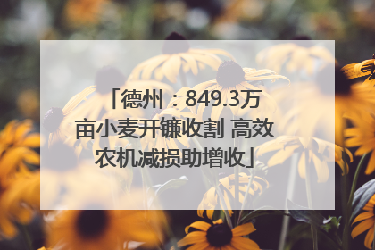 德州：849.3万亩小麦开镰收割 高效农机减损助增收