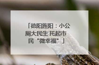 德阳旌阳：小公厕大民生 托起市民“微幸福”
